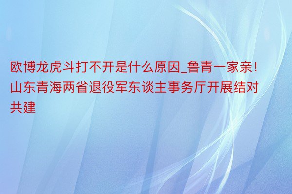 欧博龙虎斗打不开是什么原因_鲁青一家亲！山东青海两省退役军东谈主事务厅开展结对共建